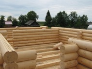 Черновой пол - Силовая часть - Строительство деревянных домов